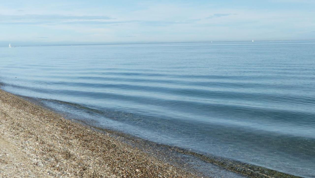 Belle Vue Sur Mer Au Calme Argelès-sur-Mer Eksteriør billede