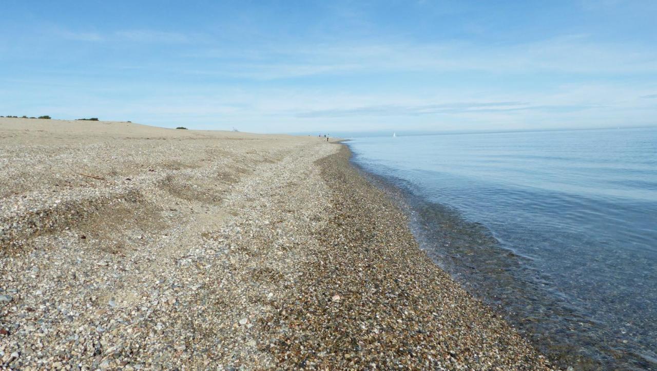 Belle Vue Sur Mer Au Calme Argelès-sur-Mer Eksteriør billede