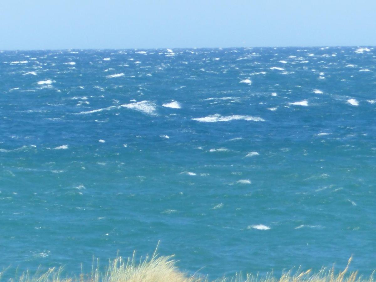 Belle Vue Sur Mer Au Calme Argelès-sur-Mer Eksteriør billede
